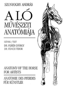 A ló művészeti anatómiája